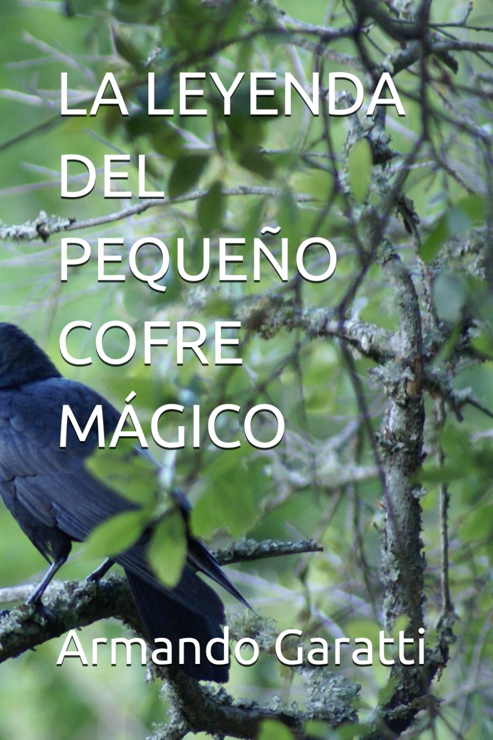 LA LEYENDA DEL PEQUEÑO COFRE MÁGICO