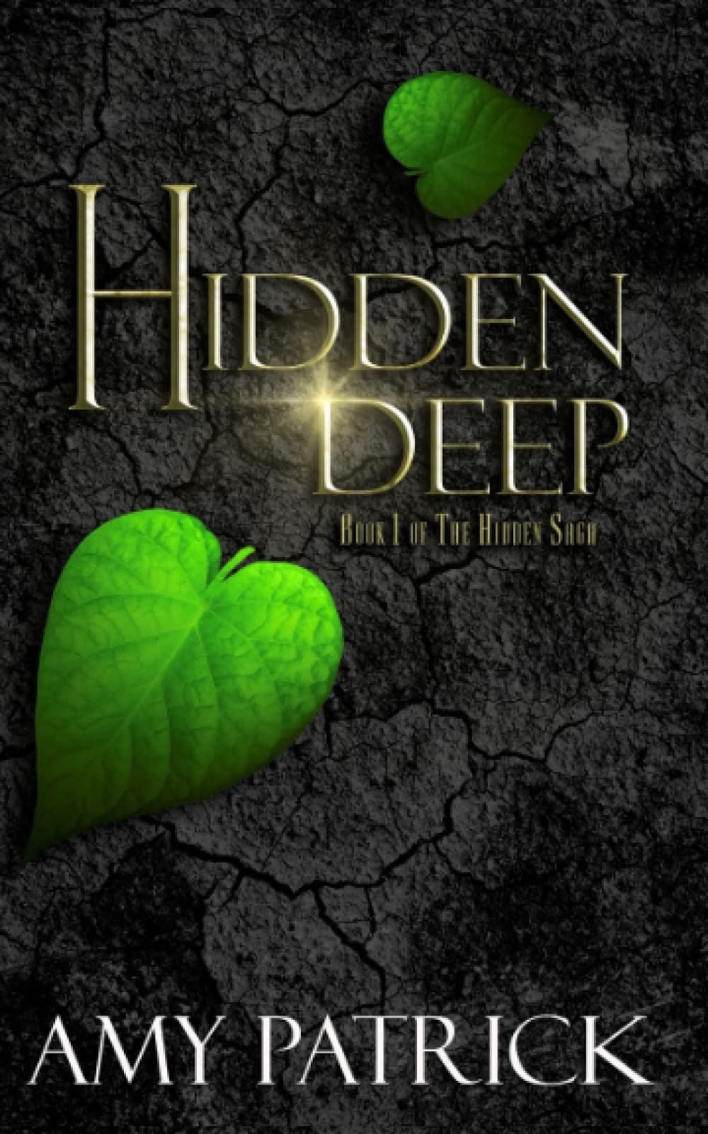Hidden Deep: Book 1 of The Hidden Saga