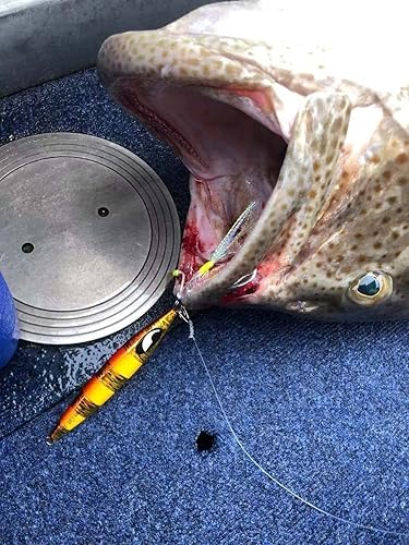 Miniatura 4 de OCEAN CAT Señuelos de pesca con jigging de paso lento, kit de plantillas brillantes para pesca en agua salada con ayuda de anzuelo lento, anzuelo