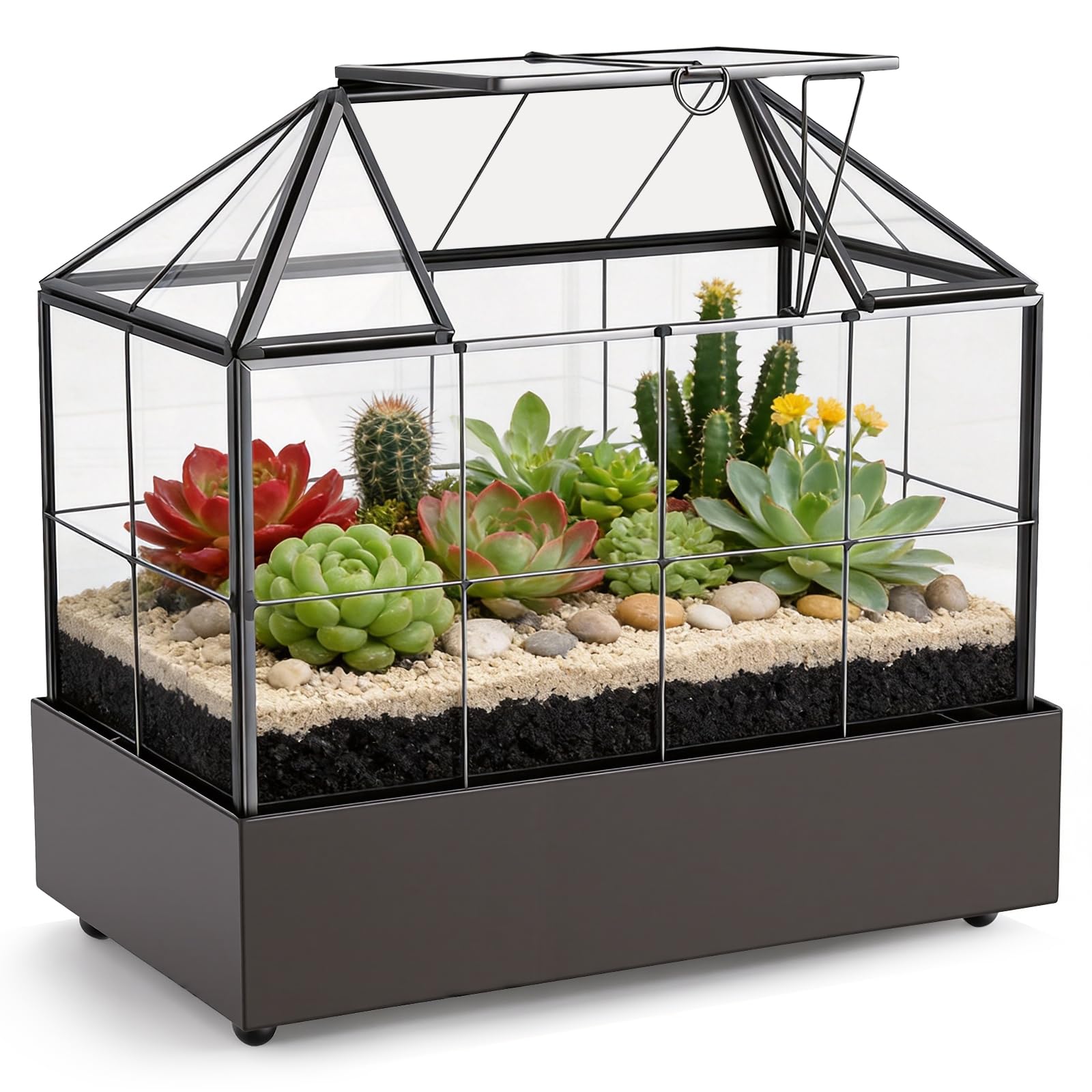 Mini invernadero para ventana de cristal, 23,3 x 13,6 x 18 cm, para plantas, terrario, pequeño jardín de botellas