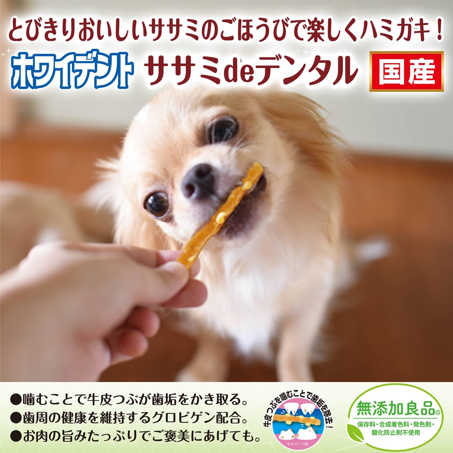 みみちゃんママ215両面微起毛ゆったりボトルネックT(WH/GY) Amazon.co.jp: ドギーマン ホワイデント ササミdeデンタル 牛たん 70g