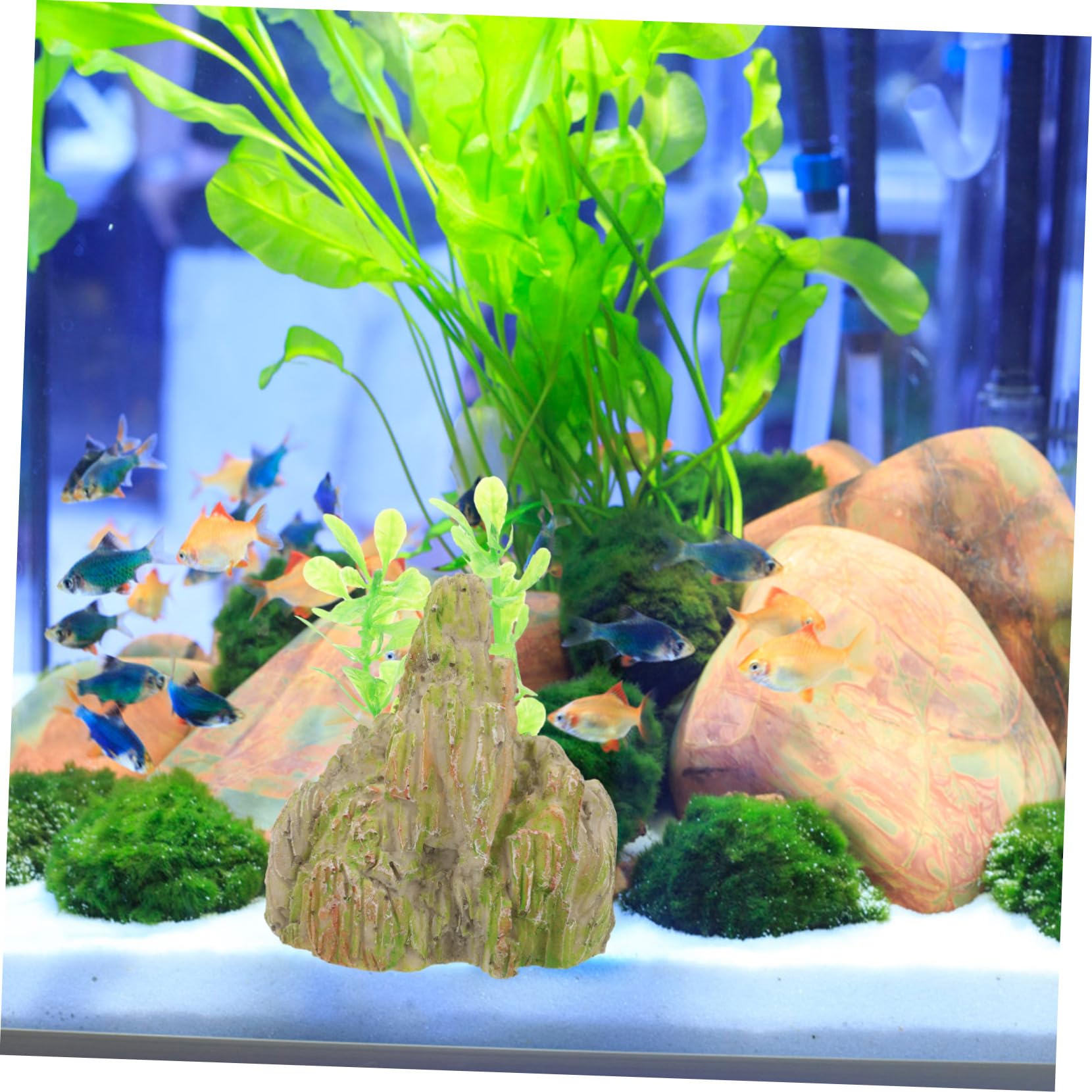 BESPORTBLE 4 Juegos Pecera Rocalla Paisajismo Planta Roca del Acuario Agua Equipo Decoración Pecera Adornos Pecera Decoraciones De Peceras Cueva De Piel De Pescado Resina 2 Piezas * 4