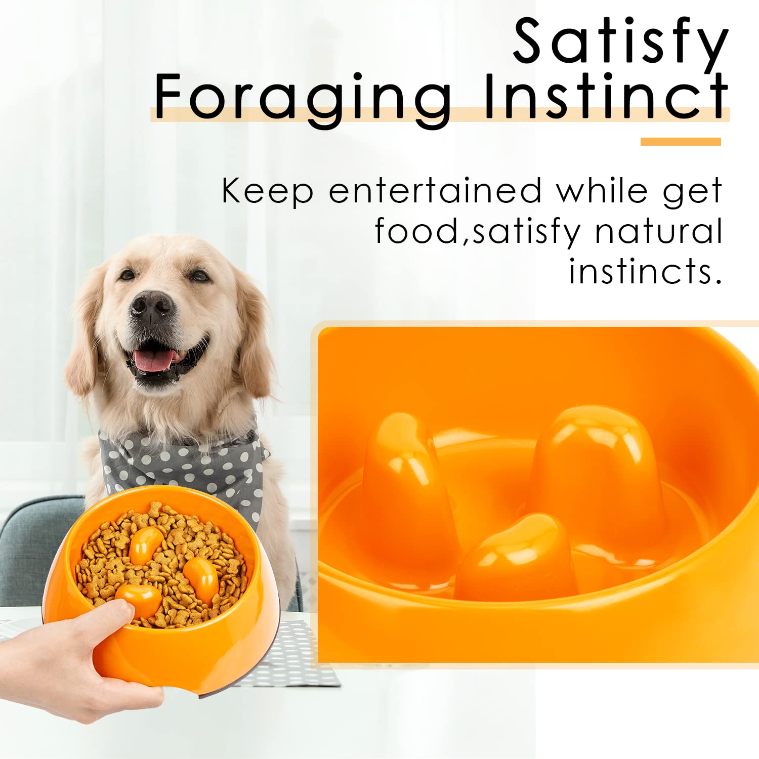 aqua dog water bowl BOONDOG] Silicone Water Bowl Aqua  Boondog USA
