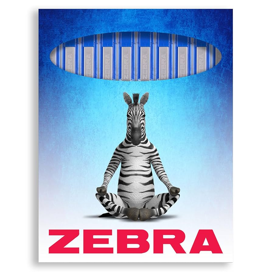 Amazon.com : Zebra Z-Grip Smooth Ballpoint Pen - 1.0mm