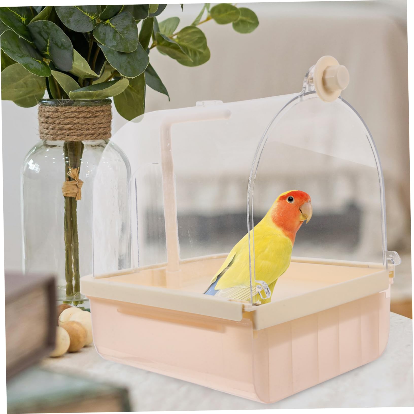 Toyvian Automatique pour Oiseaux Bassin De Bain Électrique avec Spray Circulant pour Perroquets Et Petits Oiseaux Accessoire Pratique