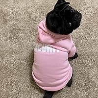 Vista 4 de BINGPET - Sudaderas con capucha de seguridad para perros, suéter para cachorros, abrigos para perros para clima frío, suéter de forro polar