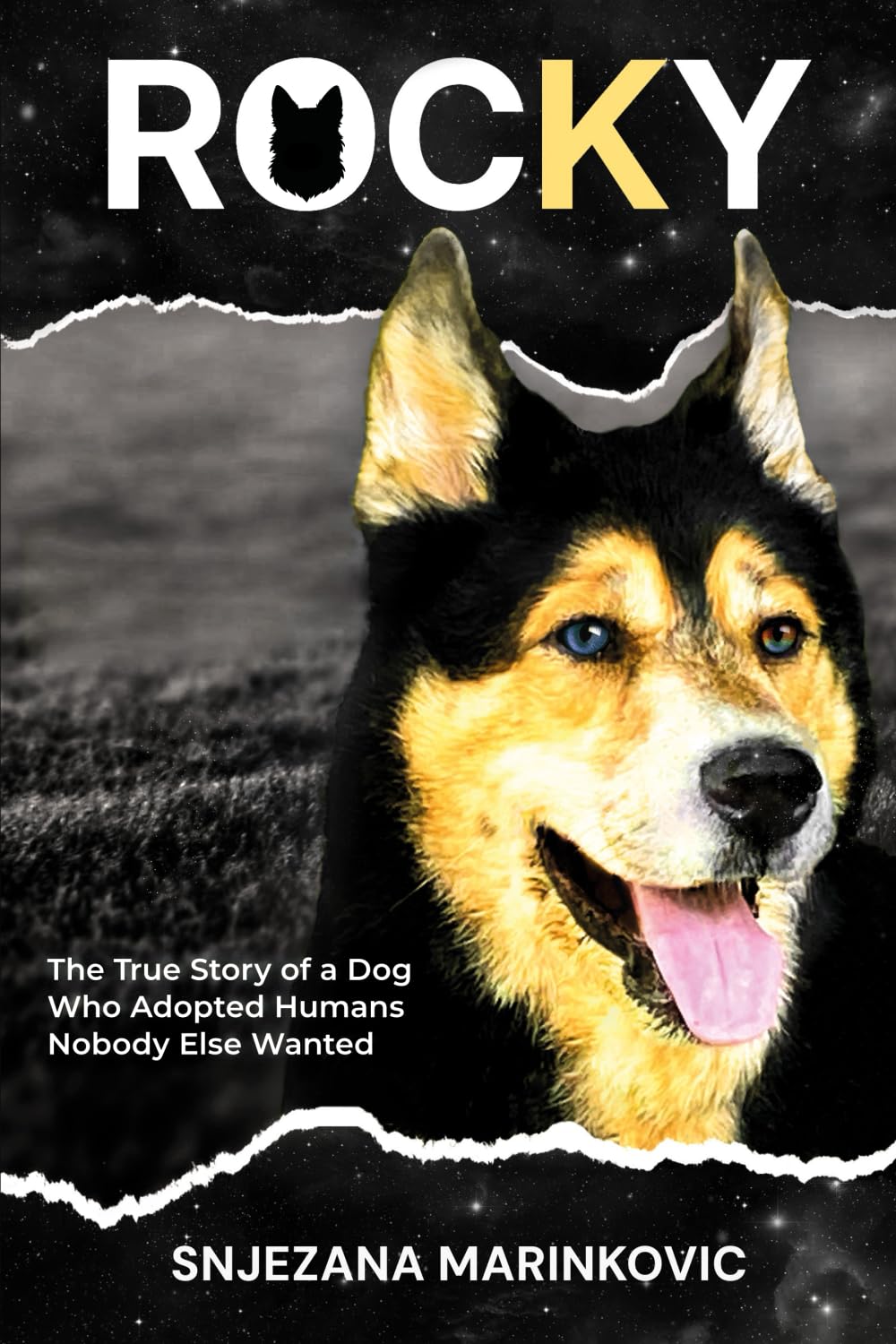 Rocky: The True Story of a Dog Who Adopted Humans Nobody Else Wanted