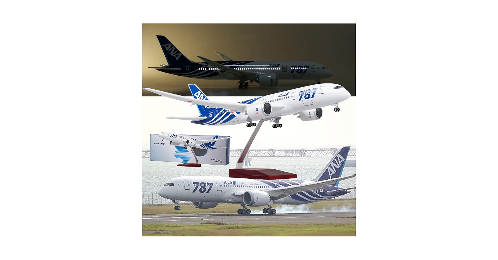 Amazon.co.jp: 16.9 インチ 1:130 スケールモデル飛行機 ANA