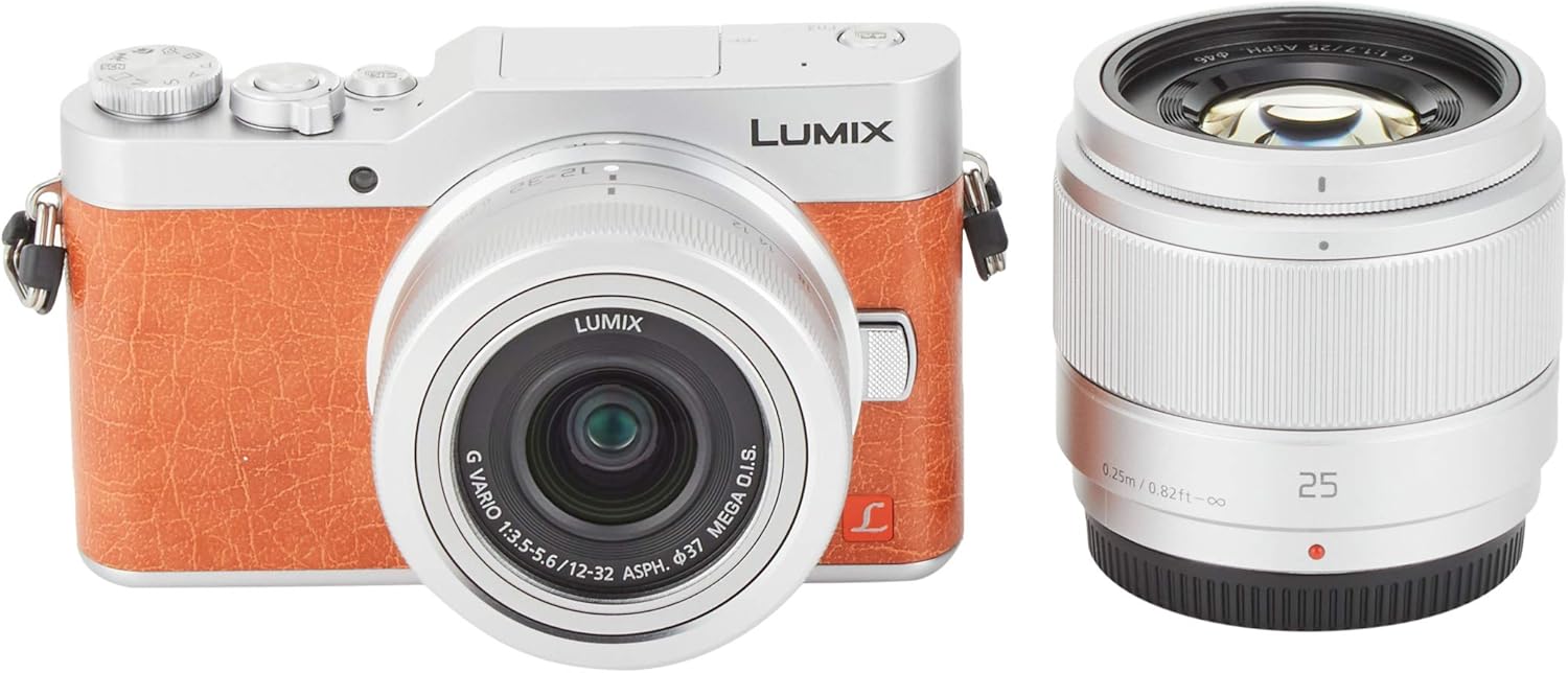 パナソニック(Panasonic) Panasonic Lumix GF9 Mirrorless Single Lens
