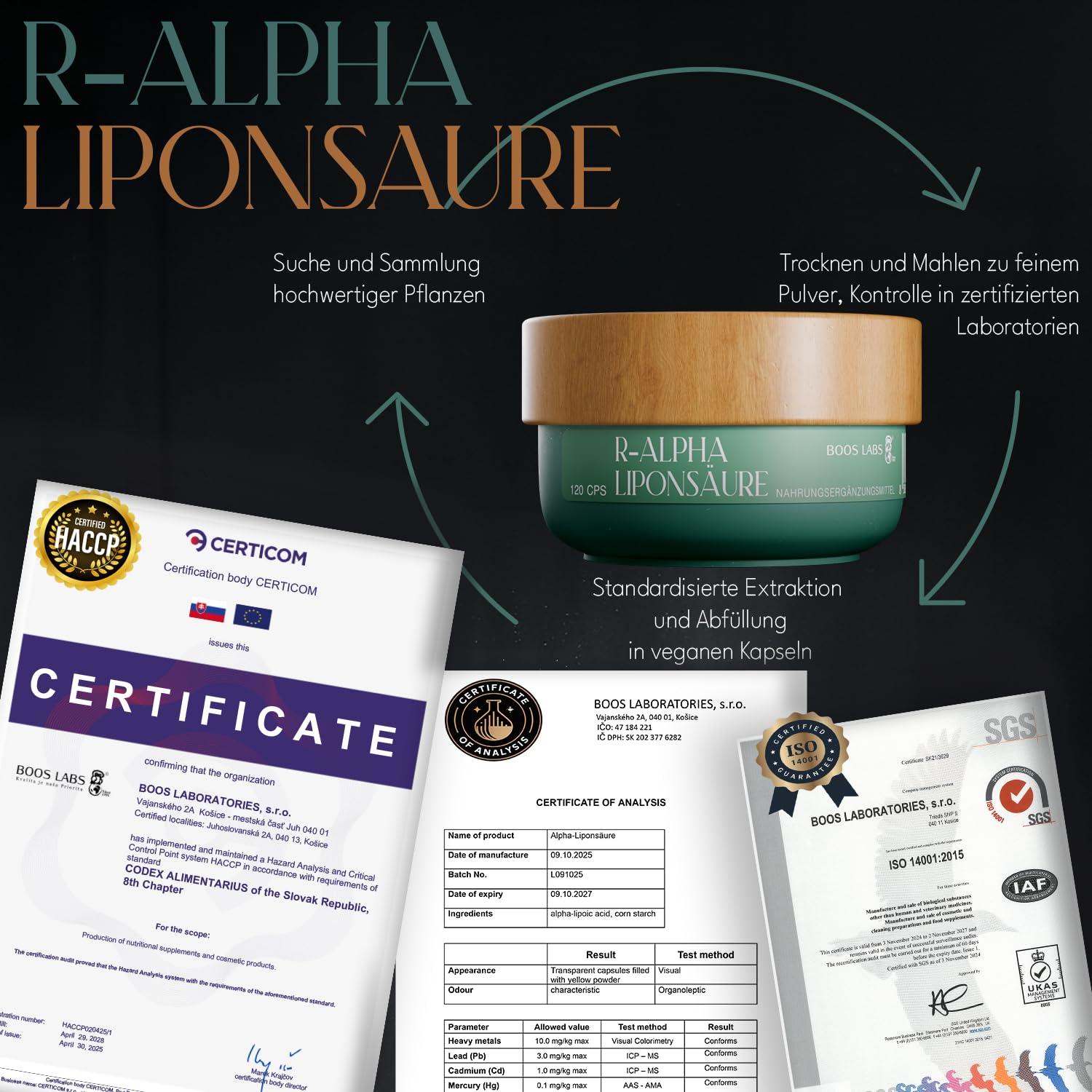 R-Alpha Liponsäure ALA | 120 Vegane Kapseln | 1 Kapsel am Tag | Hochdosiert, Laborgeprüft, Ohne Gentechnik, Glutenfrei | Antioxidans & Nahrungsergänzungsmittel