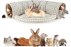 BWOGUE Rabbit Playground: The Ultimate Adventure Zone for Hopping Cuties