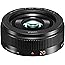 Panasonic LUMIX H-H020AE-K 20 mm Micro Four Thirds Camera Lens - Black