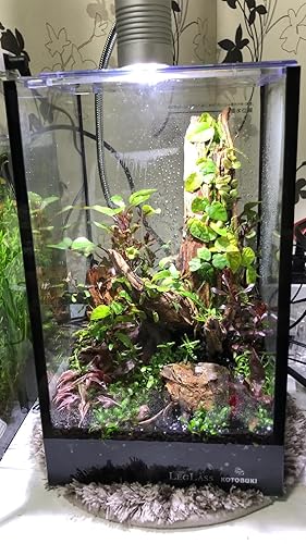 コトブキ クリスタルキューブ150HH　エヴァリス ヒーター10w　4セット コトブキ クリスタルキューブ150HH エヴァリス ヒーター10w 4セット