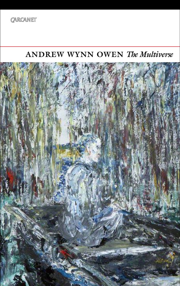 The Multiverse by Andrew Wynn Owen PAPERBACK 9781784105624