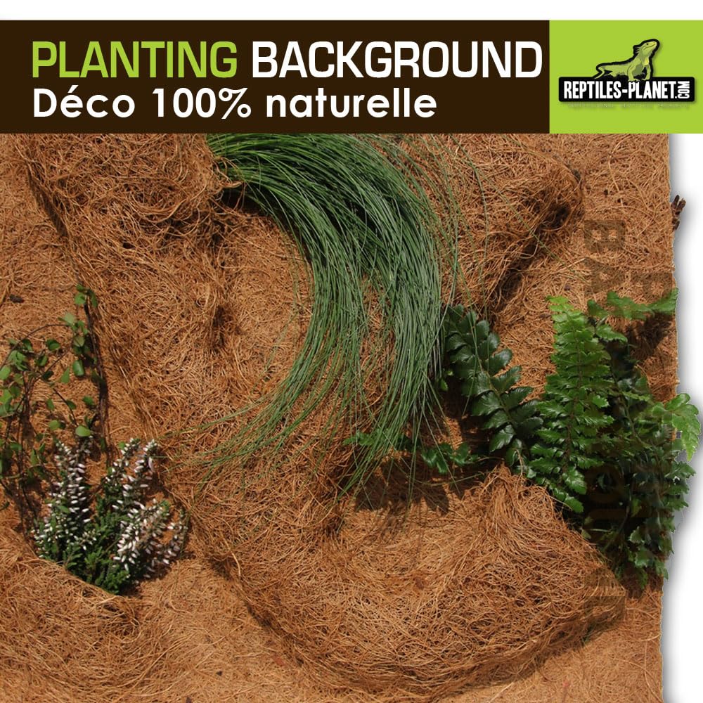 Rettili Planet Decorazione di Fondo in Cocco per terrario per Planter 40 x 40 x 1 cm