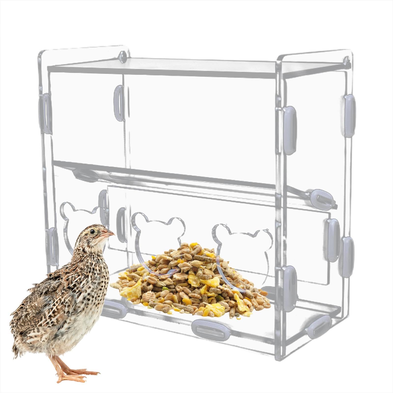 Amazon | 鳥の餌箱、ウズラの餌箱, アクリル製給餌コンテナ 散らから 