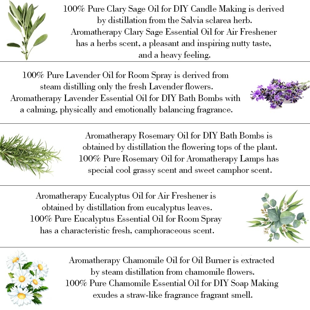 100% puro lavanda aceite esencial Kit,herbácea aceite set, 5x10ml aromaterapia manzanilla aceite esencial set para difusor - Eucalyptus, romero, salvia, lavanda, manzanilla Aceite