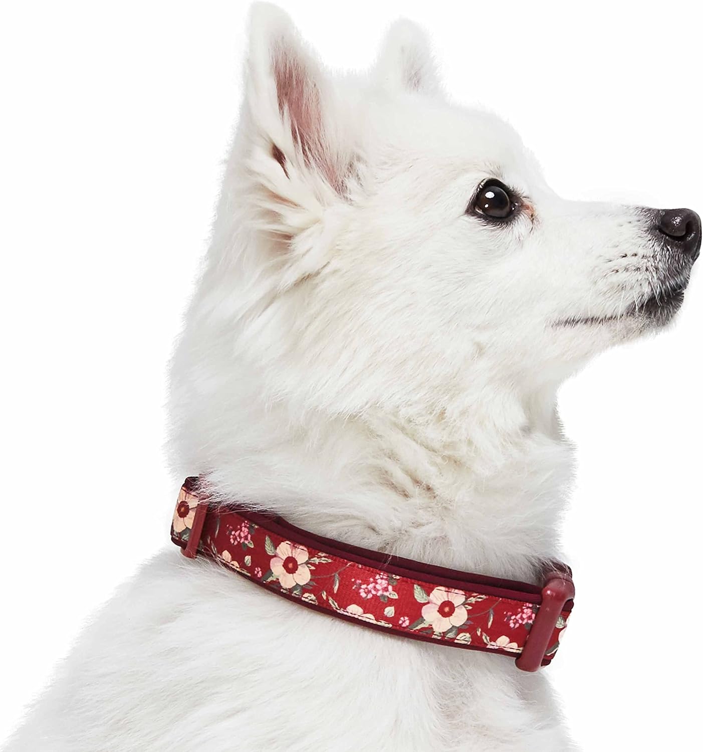 Blueberry Pet Soft & Comfy Oriental Flower Neoprene Padded Adjustable Dog Collar, Tuscan Red, Large, Neck 18"-26" : Pet Supplies