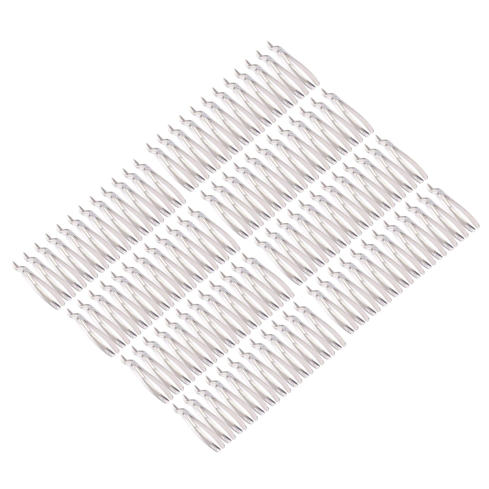 OdontoMed2011 Set Of 100 Dental Extracting Forceps 51A Dental Extraction Instruments ODM