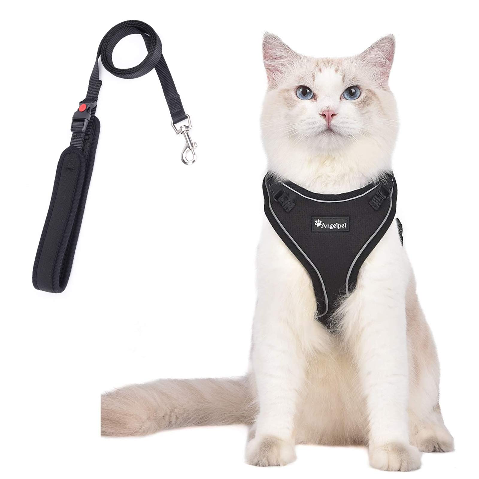 Amazon | 猫 猫用 ハーネス 胴輪 猫具 ねこ ネコ 子猫 子犬 小型