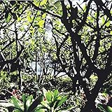 最安!オーディオホログラム