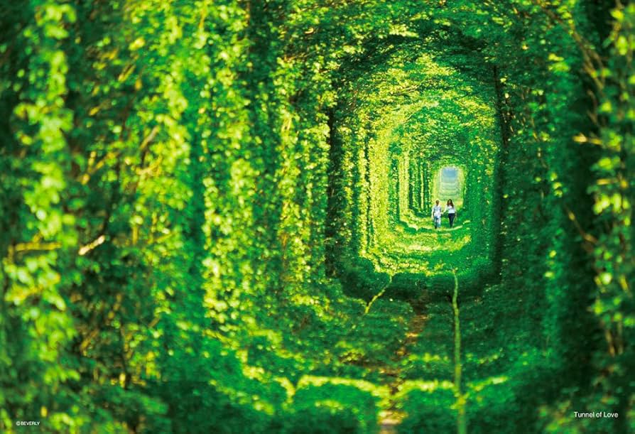 トンネルのある風景 1000ピース ジグソーパズル 81Uo2ZU6PtL._UF894,1000_QL80_.jpg