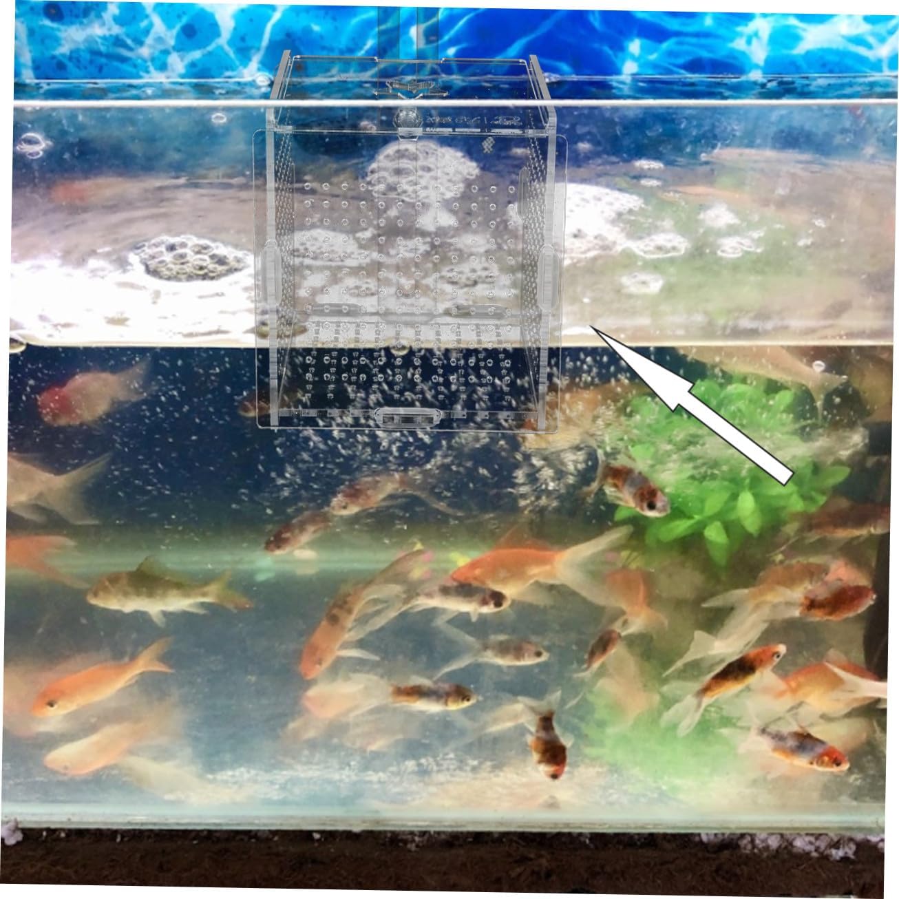 1set Acrylic Fish Isolation Box Cups and Hook Breeding Hatchery for Fish Tanks Easy Installation and Practical Divider for Aquariums