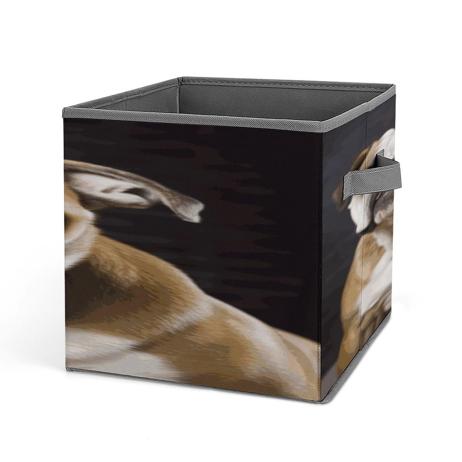 Fekiloot Style Funny English Dog Storage Bins Storage Baskets