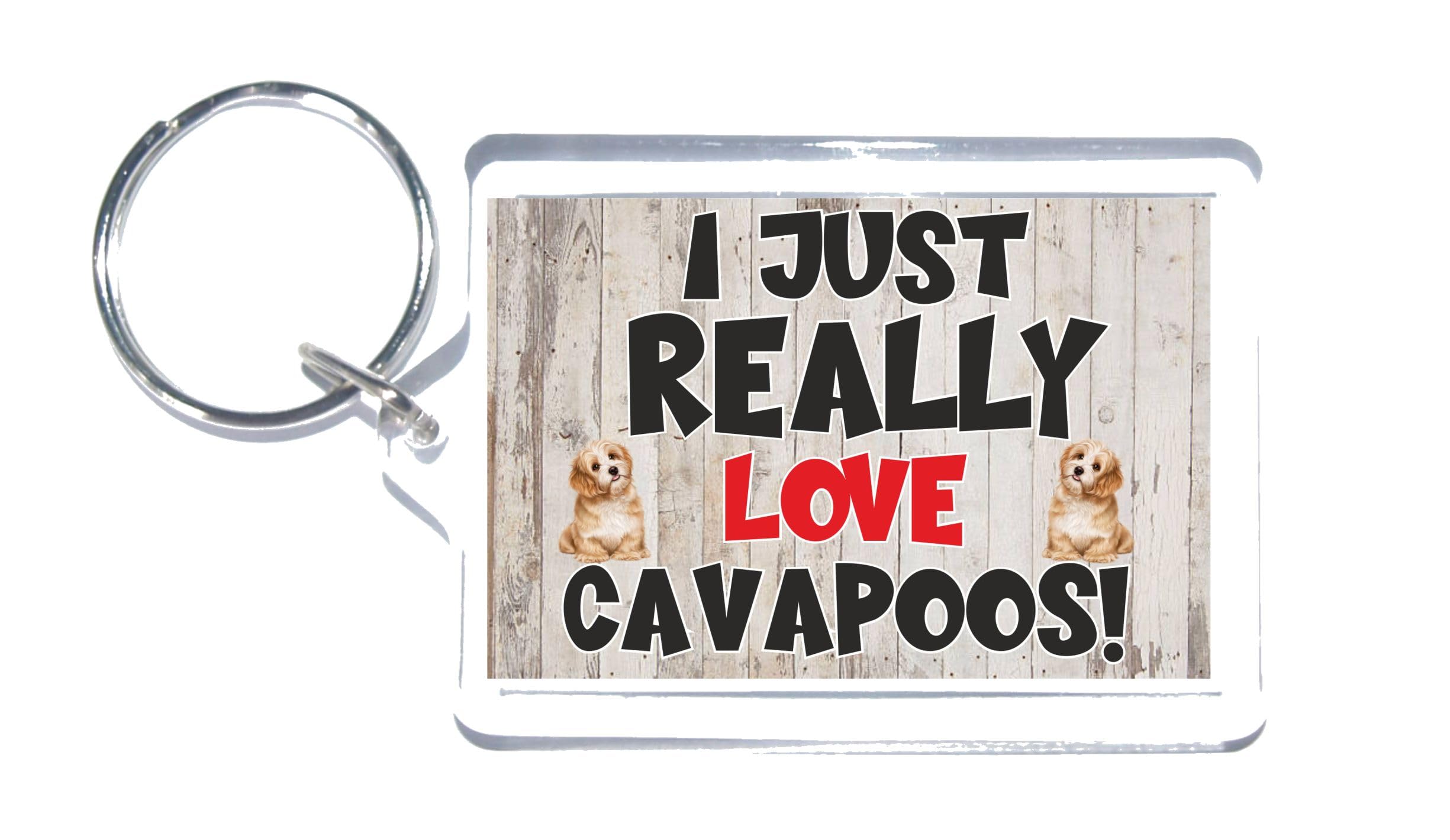 Unisex Grey Nice Dog Gift – I Just Really Love Cavapoos – Novelty Keyring