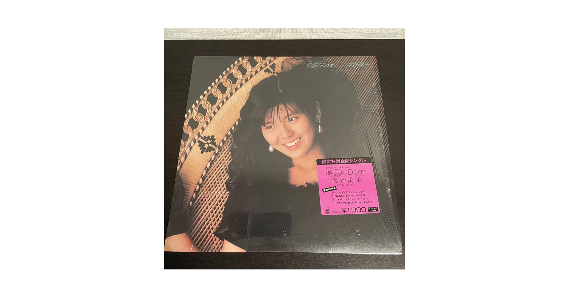 南野陽子さんLPレコード10枚セット＋楽園のDoor限定特別シングル 南野陽子さんLPレコード10枚セット＋楽園のDoor限定特別シングル