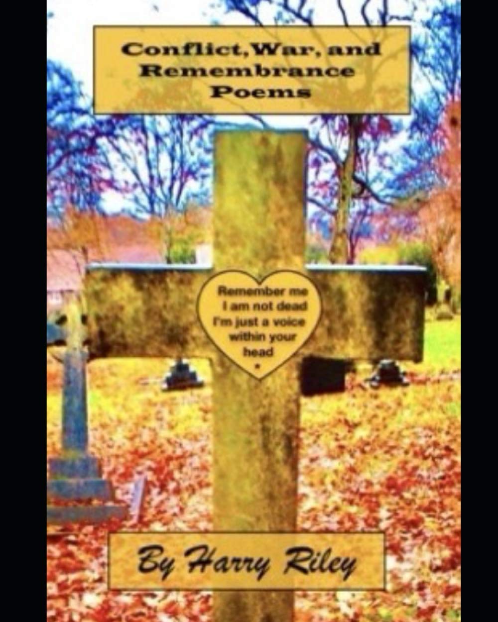 Conflict, War, and Remembrance Poems: Remember me I am not dead I'm just a voice within your head