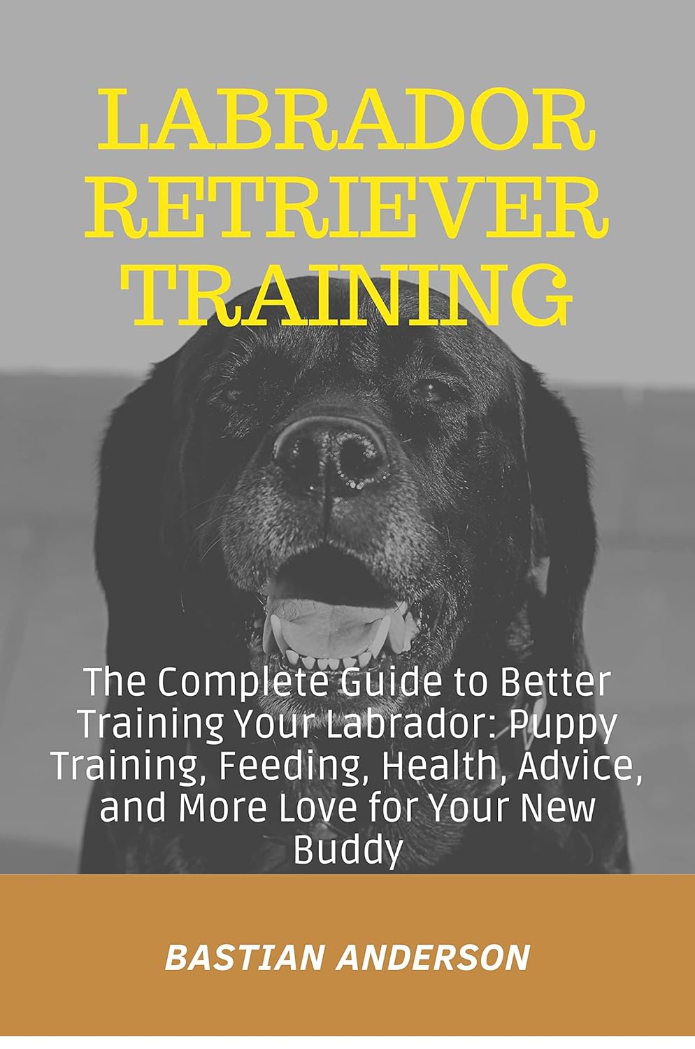 Labrador Retriever Training The Complete Guide to Better Training Your