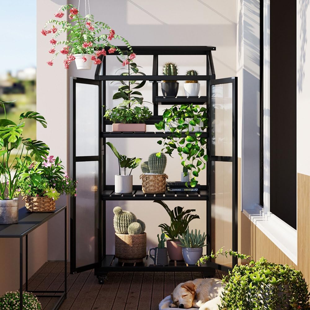 Sturdy Wooden Greenhouse for Balcony or Backyard Use with Rolling Wheels and Adjustable Shelving for Plant Growing (Black + Solid Wood + Wood)