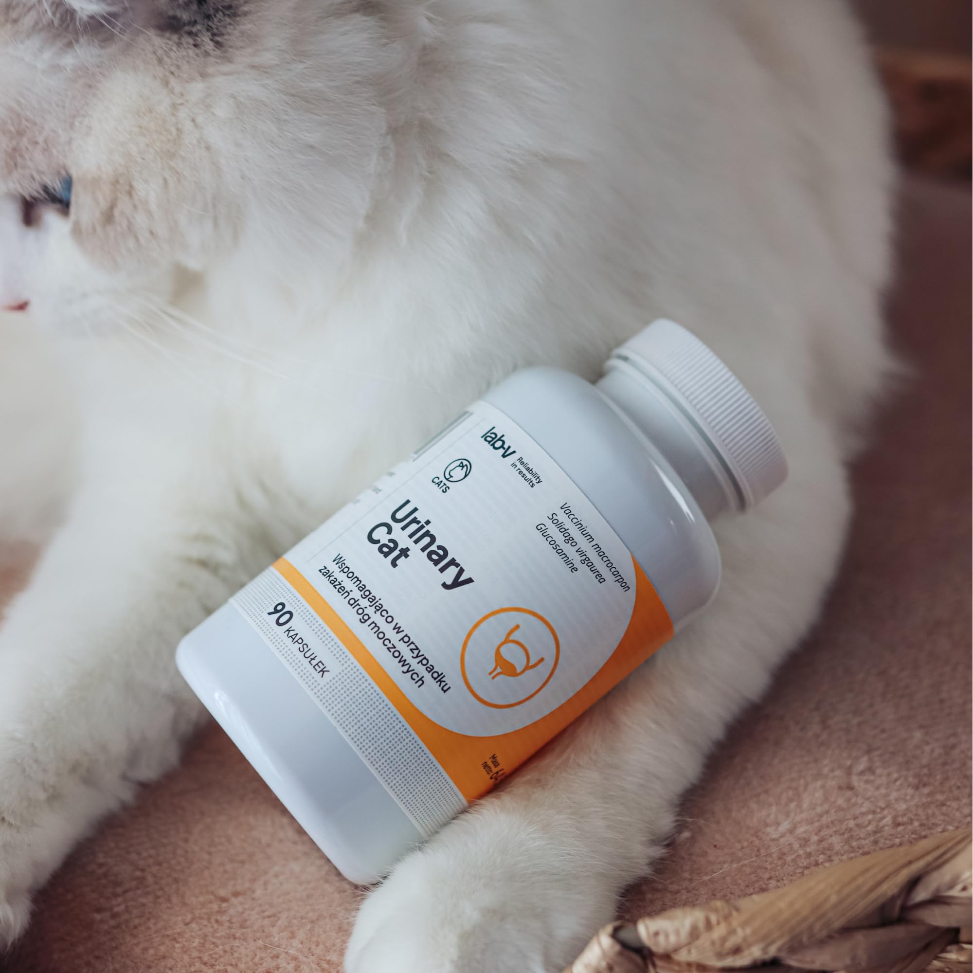 Lab-V Urinary Cat – Ergänzungsfuttermittel für Katzen zur Unterstützung der Harnwege – 90 Kapseln – mit Cranberry & DL-Methionin – ohne künstliche Zusatzstoffe