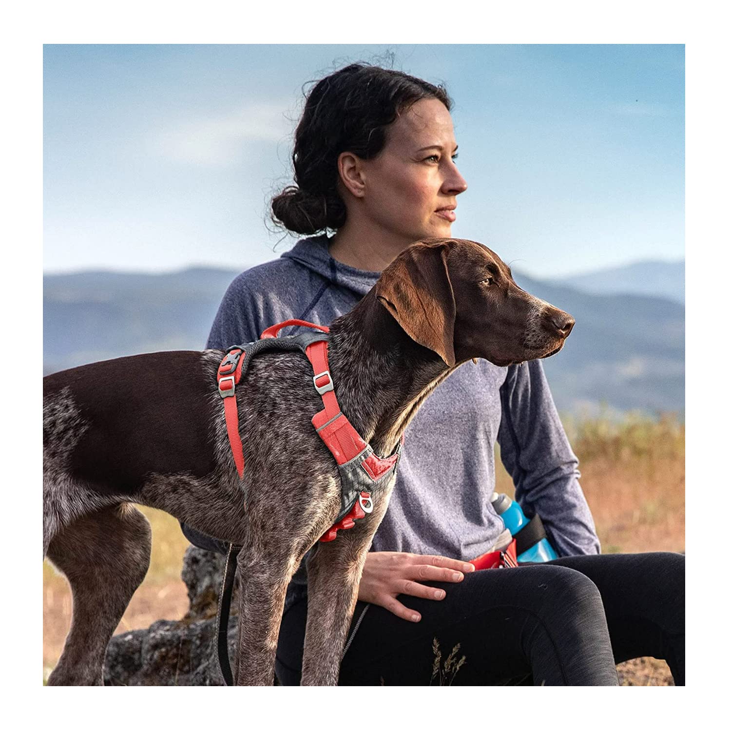 Kurgo Journey Air Dog Harness, Vest Harnesses for Dogs Pet Hiking Harness for Running & Walking, Reflective, Padded - Image 3