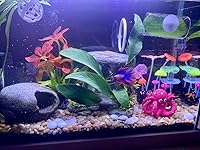 Review Image by Shelly Northern