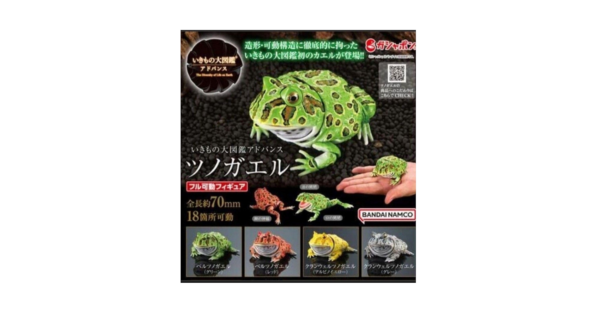 いきもの大図鑑アドバンス ツノガエル 全４種類 おまけ付き リアルフィギュア Amazon | いきもの大図鑑アドバンス ツノガエル 全4種類 リアル