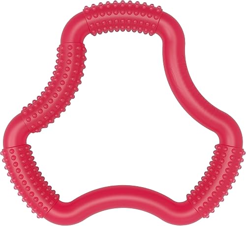 Dr. Brown’s® A-Shaped Teether "Flexees" - Pink
