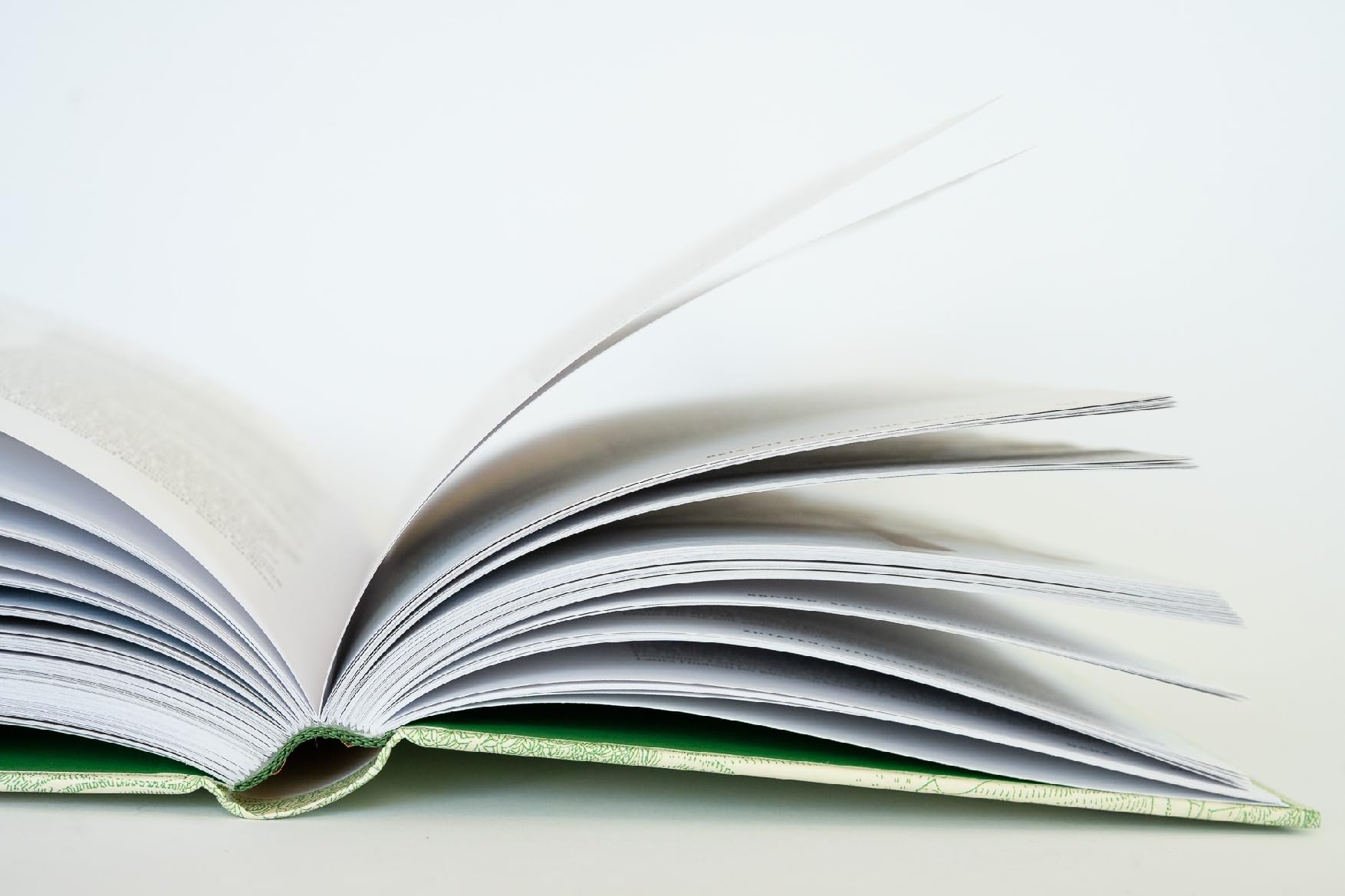 Das Reis-Buch: Geschichte, Kultur, Rezepte. 140 Rezepte für Reisgerichte wie Biryani, Risotto, Pilaw und Paella aus aller Herren Länder. Mit kulturgeschichtlicher Einführung