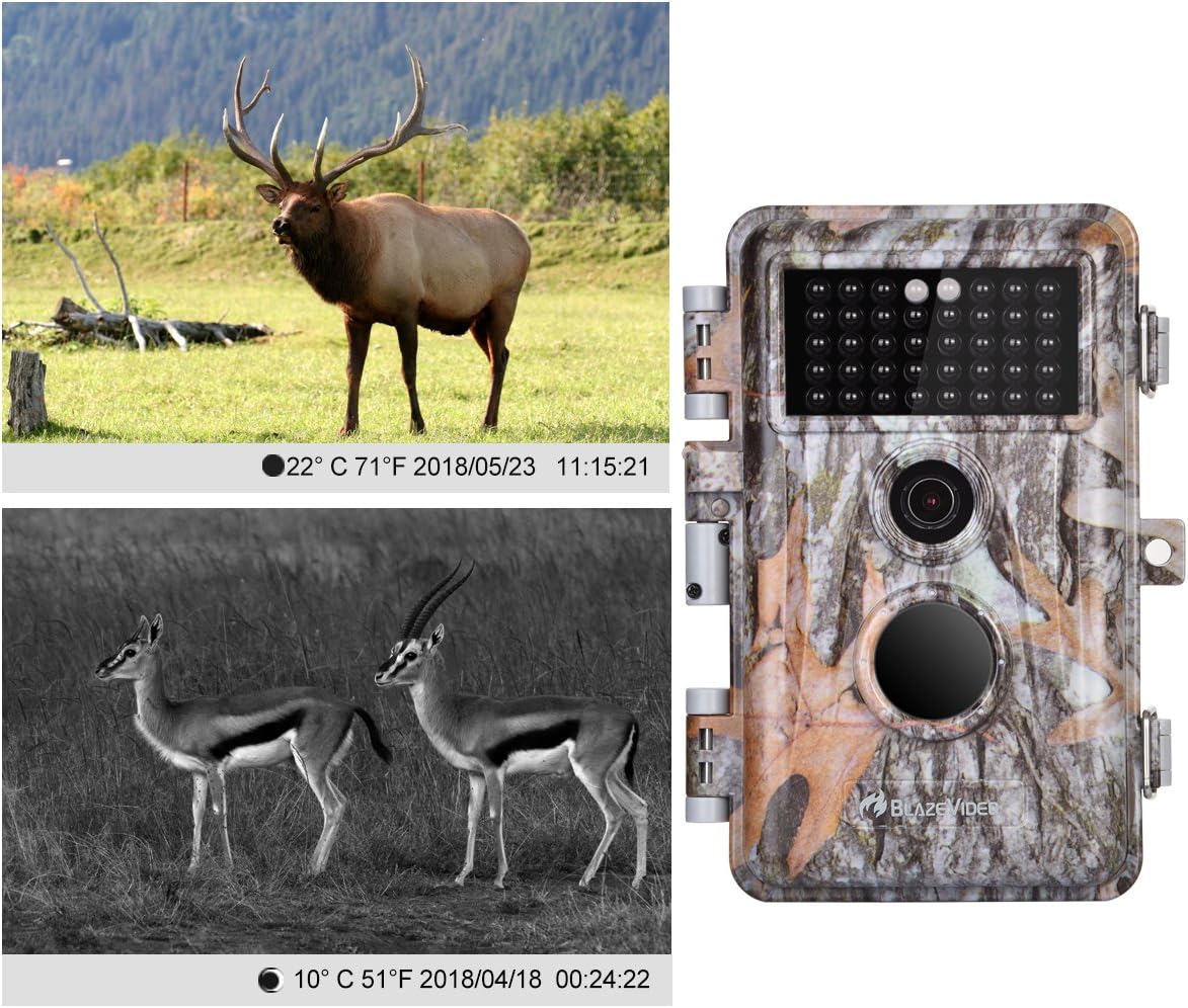 5-Pack No Glow Game Deer Trail Cameras Night Vision 24MP Photo 1296P H.264 MP4 Video for Wildlife Hunting & Home Security Motion Activated Waterproof Password Protected Time Lapse Photo & Video Model: Electronics