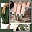RARJSM Holographic Nail Polish Army Green Gel Nail Polish 7.5ML Gorgeous Glossy Hologram NailGel Curing Required Gel Polish Nail Art Manicure Salon DIY at Home