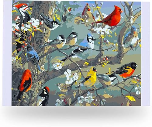 Ledgebay Pintura por números, para adultos, de principiantes a avanzados, divertidos proyectos de arte y manualidades, Rompecabezas de huerta, 16 x