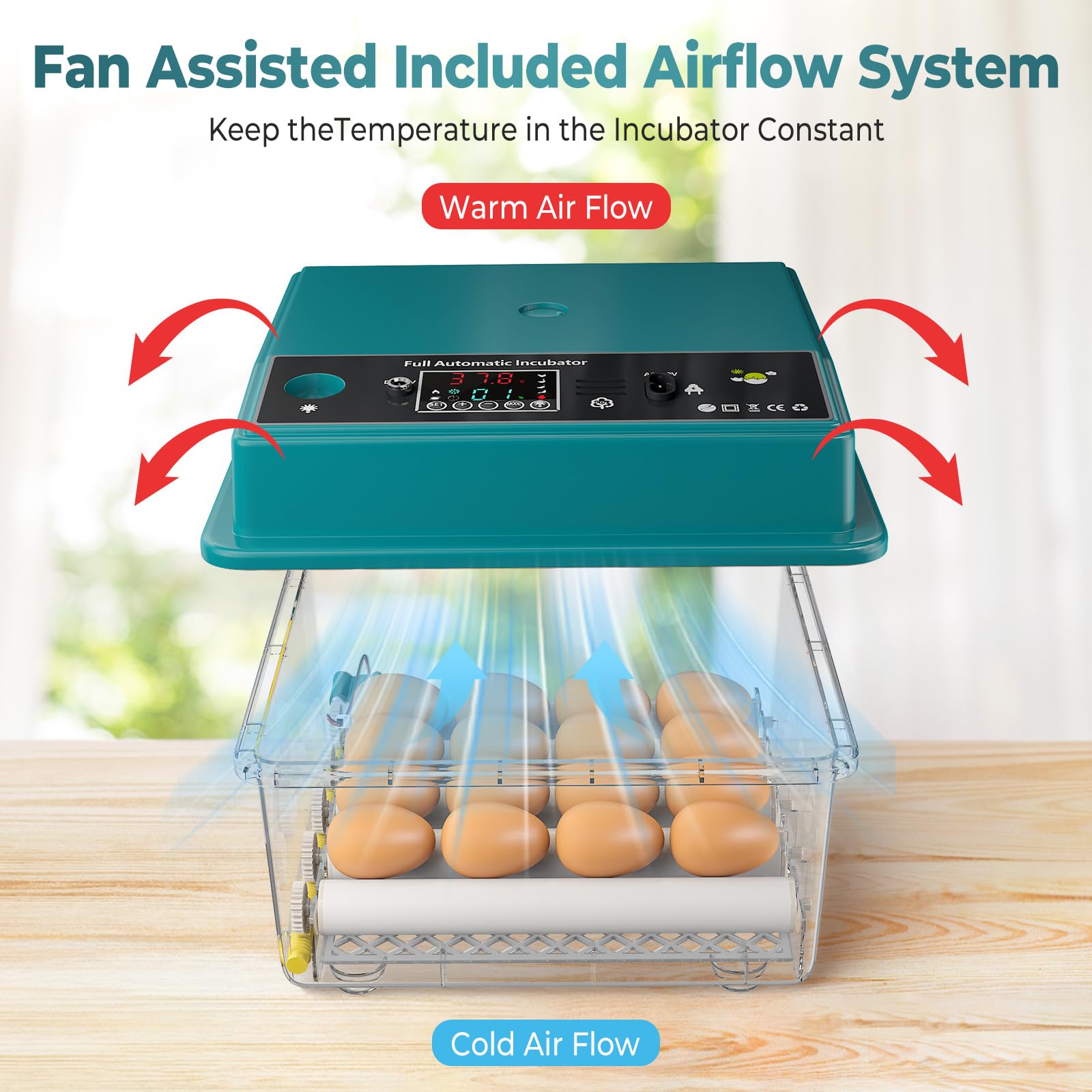 Incubadora Huevos Gallina, Incubadora de 16-64 Huevos con Volteo Automático de Huevos y Humidificación Automática, Fuente de Alimentación Dual, Pantalla LED, Lámpara de Huevo (16 Huevos)