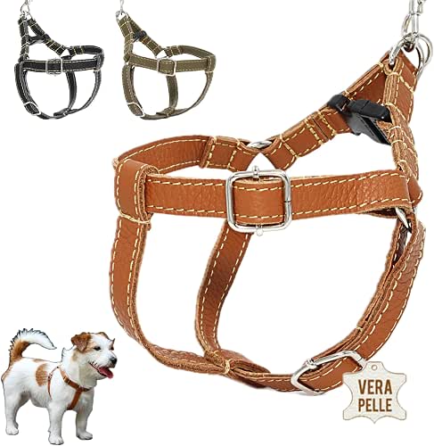 Harnais Chien de Taille Petite et Moyenne, Harnais pour Chien