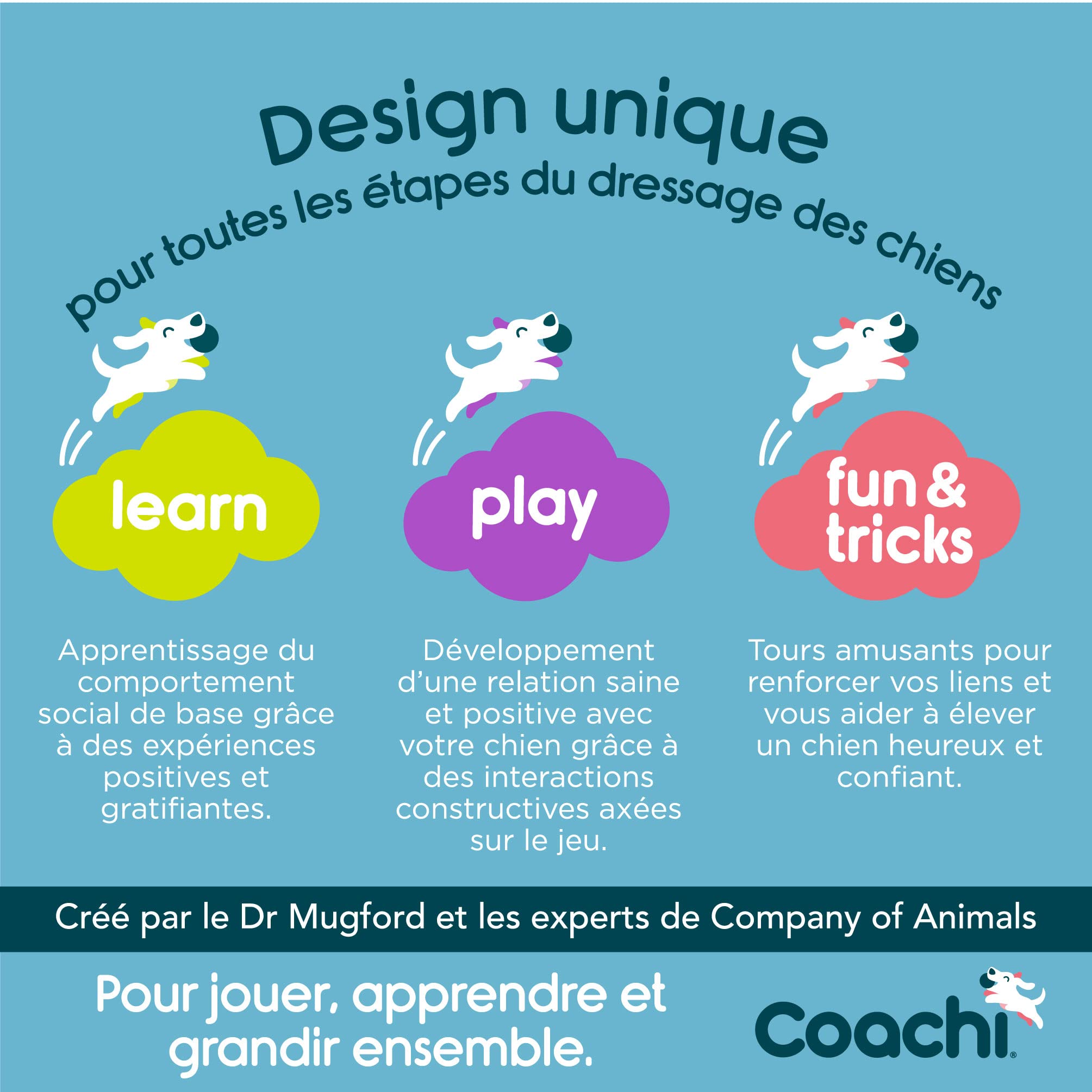 Coachi Multi-Clicker, Accessoire pour Chien, contrôle du Volume à 3 réglages, Facile à cliquer