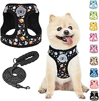 Vista 40 de BEAUTYZOO - Juego de arnés y correa para perros y gatos pequeños, extrapequeños y medianos, arnés tipo chaleco fácil de poner, antiasfixia