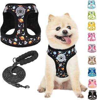 BEAUTYZOO Small Dog Harness and Leash Set,No Pull Puppy Pet Vest-Planet, XS | Step-in Easy On/Off, All Season Breathable Mesh,Escape-Proof Hook & Loop,Lightweight Reflective,No Choke,Easy Walking Control
