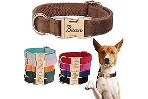 Personalized Velvet Collar and Leash Set: Custom Engraved Dog Collar with Name and Phone Number