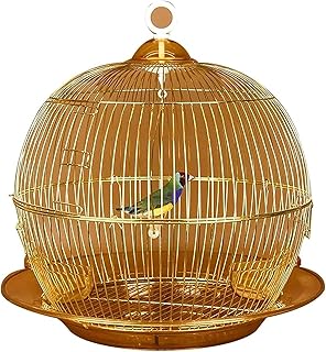 Bird Cage Prevue Pet Products Metal Cockatiels Cage Parrot Cage Hanging Bird Cage,Vintage Golden Conure Cage,Home Decoration Small Bird Cage for Indoor Outdoors