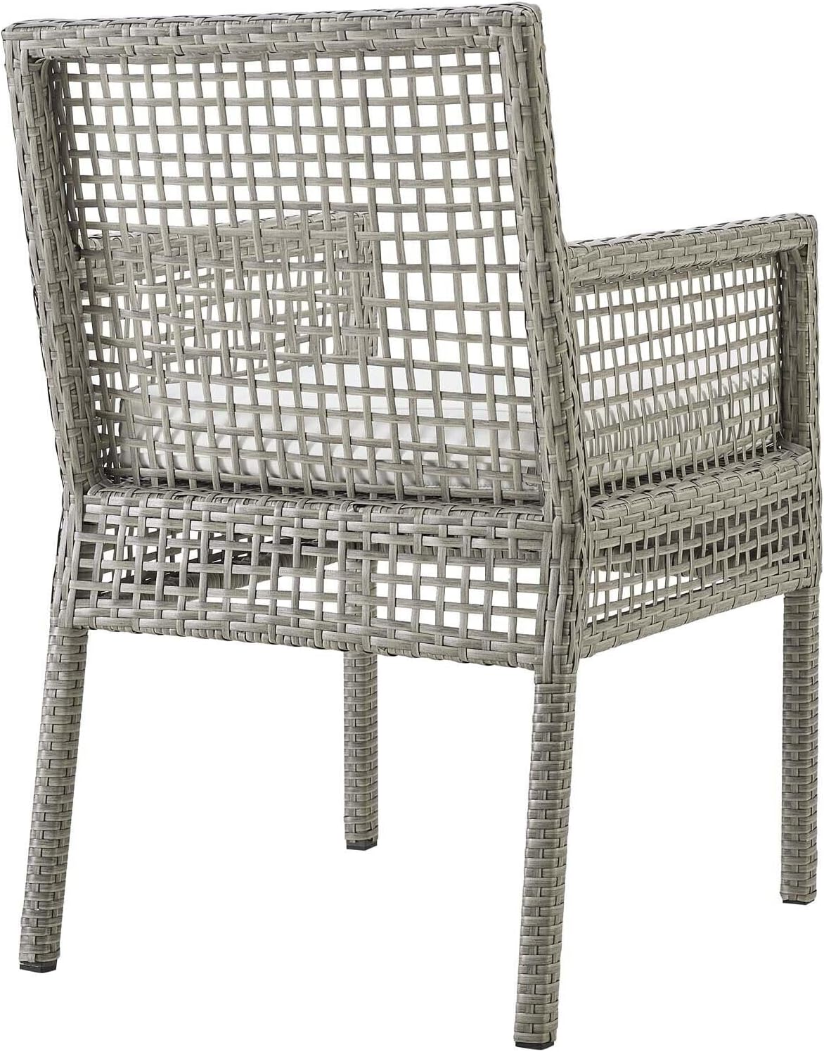 Rattan Outdoor Patio Two Dining Arm Chairs in Gray White